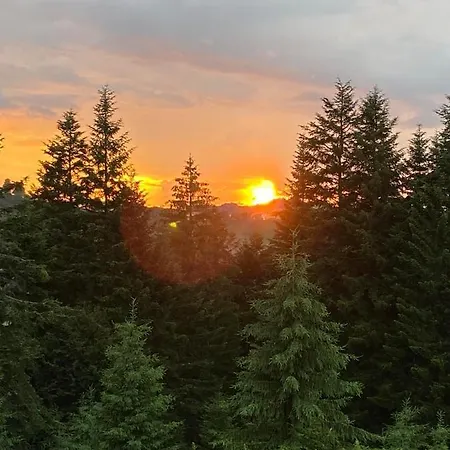 Kemp Camping Nad Karpatamy Spa *