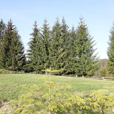 Camping Nad Karpatamy Spa
